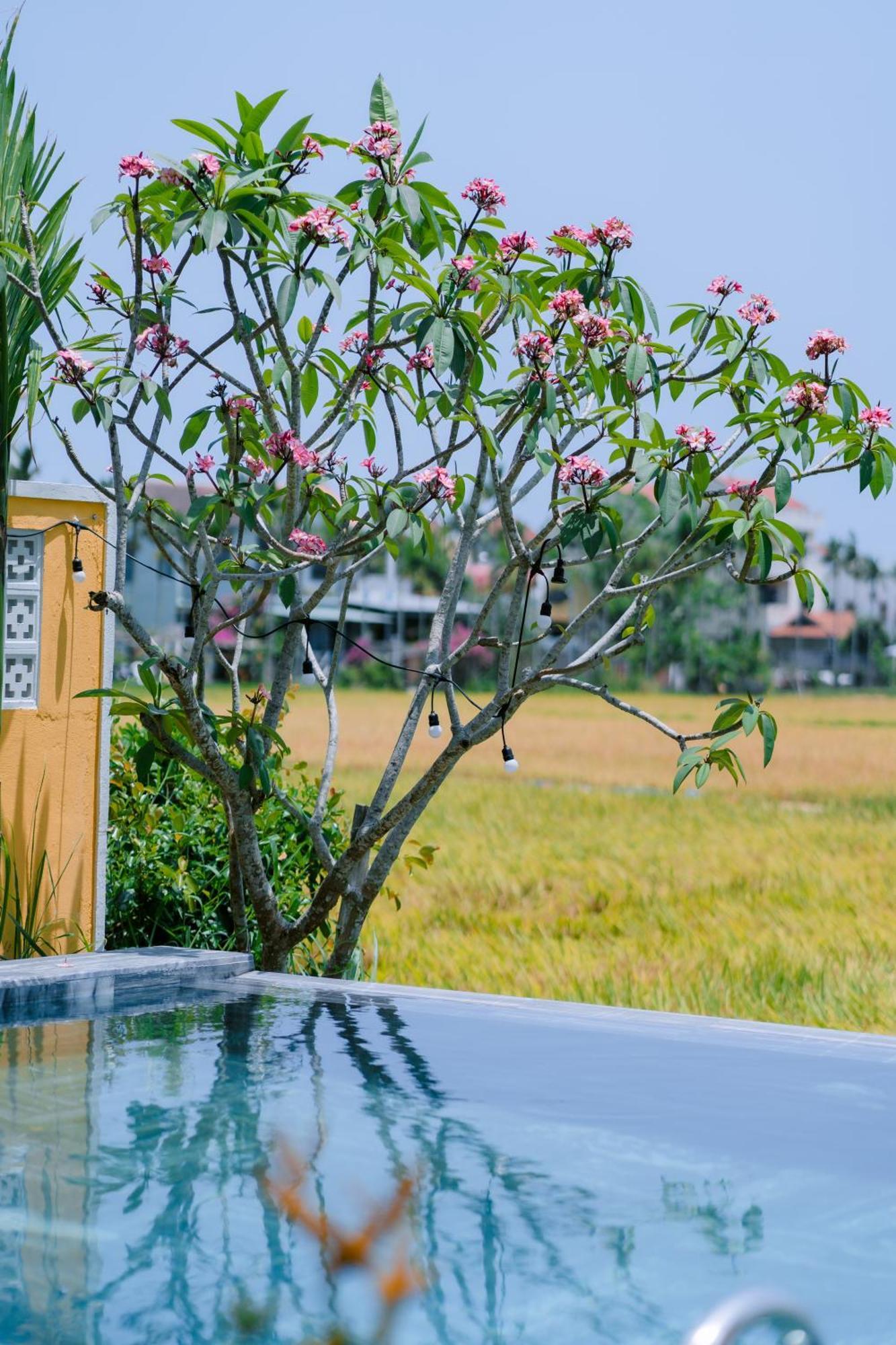 Bs Jade Home Hoi An Bagian luar foto