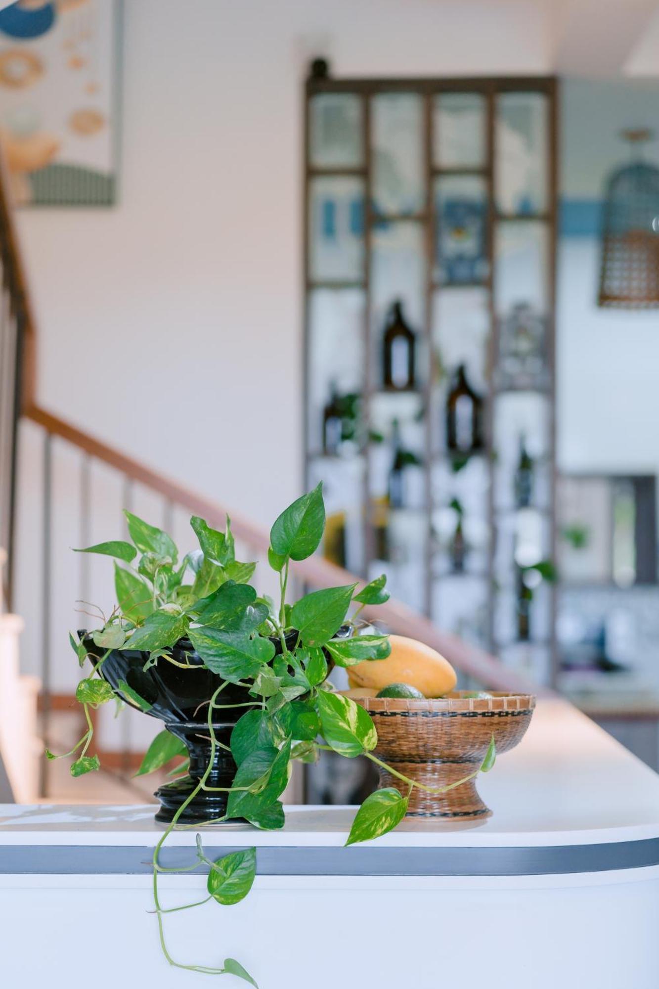 Bs Jade Home Hoi An Bagian luar foto